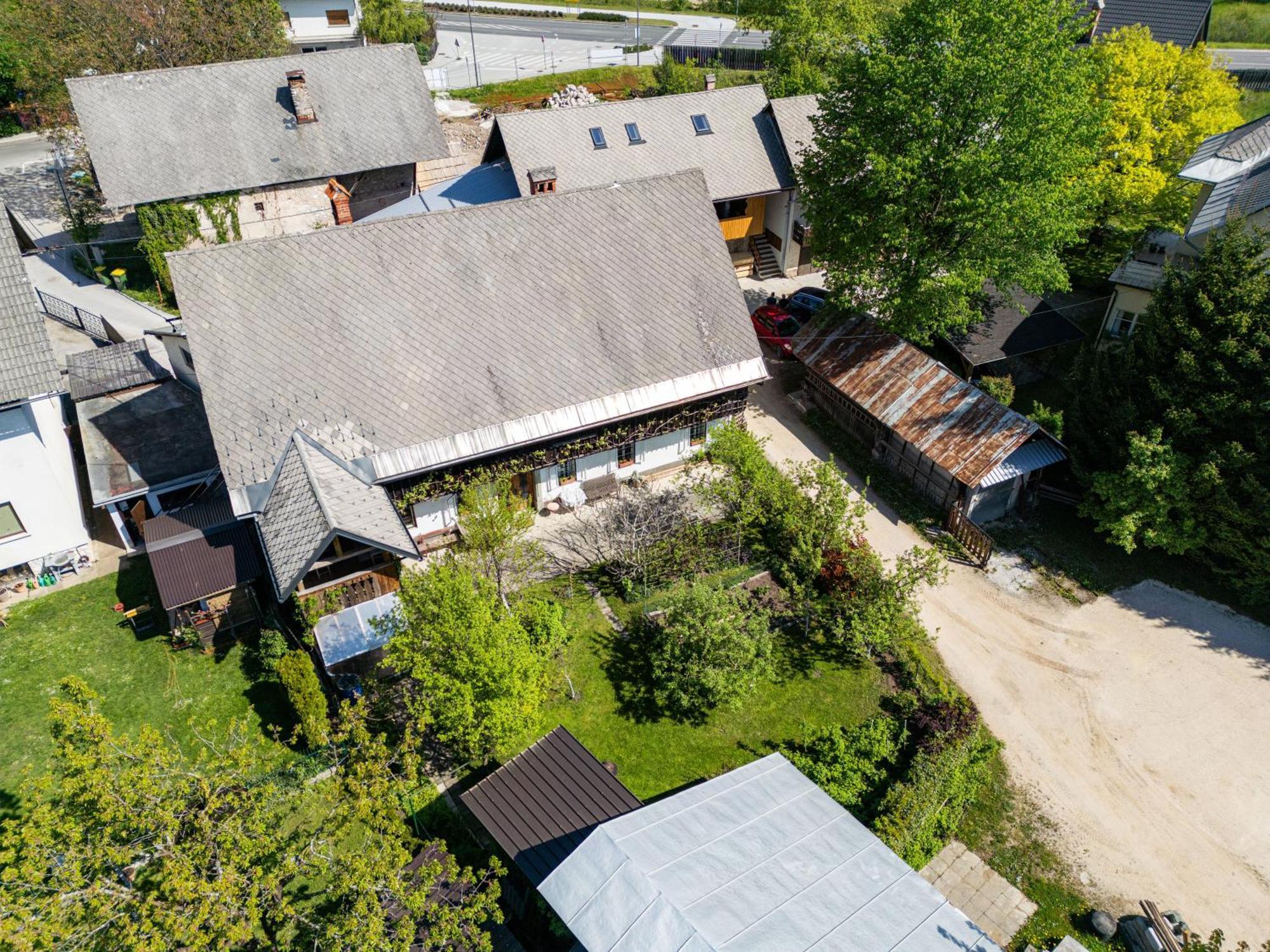 בלד House, Garden And A Green Cat מראה חיצוני תמונה