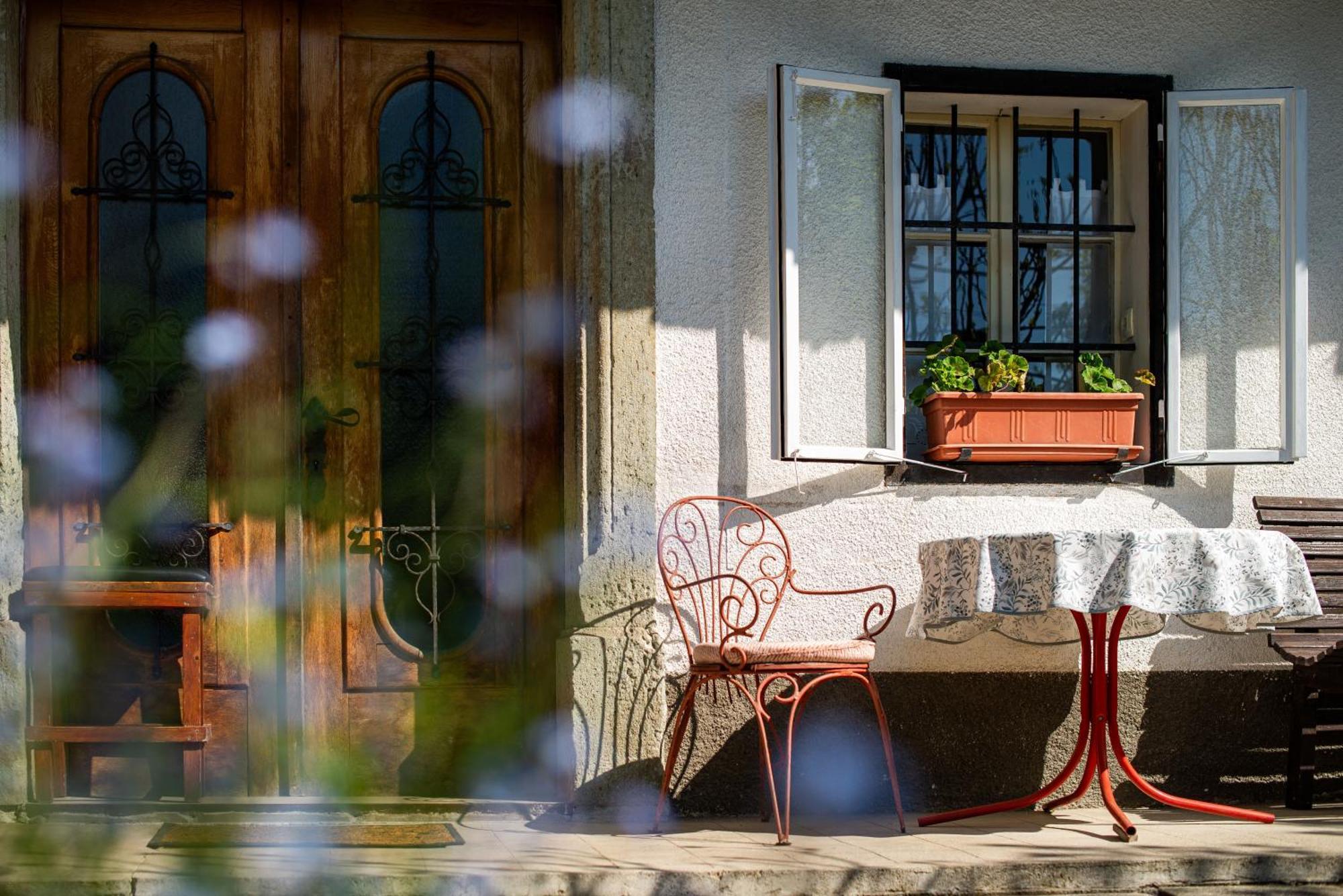 בלד House, Garden And A Green Cat מראה חיצוני תמונה