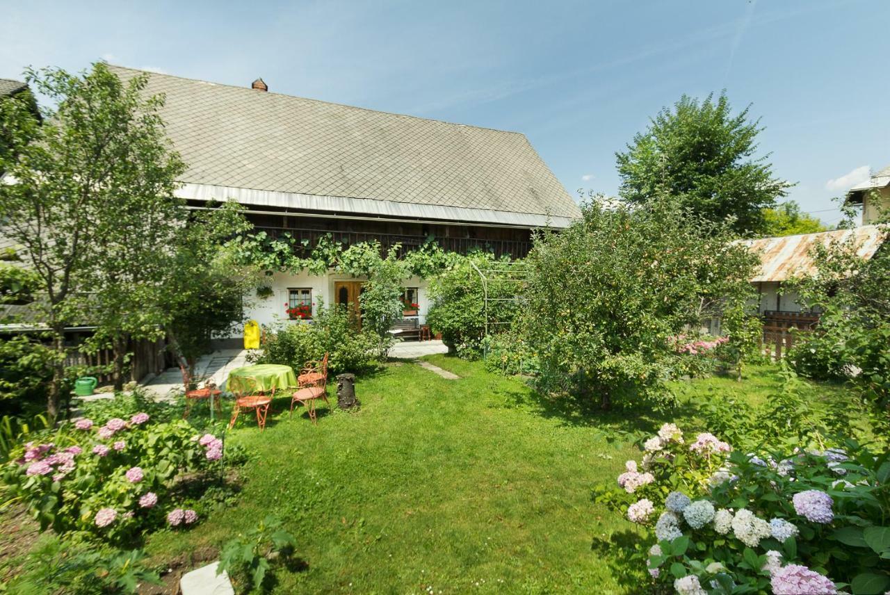 בלד House, Garden And A Green Cat מראה חיצוני תמונה